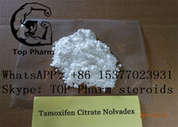 CAS 54965-24-1の男性の強化のステロイドのTamoxifenのクエン酸塩Tamofen Nolva