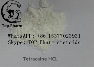 99%純度のTetracaineの塩酸塩/Tetracaine HCL/Butethanol/Butylocaineのローカル麻酔薬CAS 136-47-0