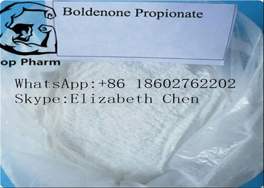 CAS 521-12-09 Boldenone Propionは白く緩い凍結乾燥させた粉ボディービルをやる99%purityを粉にする