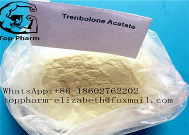 TrenboloneのアセテートTrenはTrenboloneのステロイドの粉CAS 10161-34-9のホルモン性の薬剤ボディービルをやる99%purityを楽勝で突破する