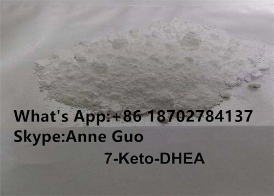 免疫の健康のための99%純度7-KETO DHEAのステロイドの未加工粉CAS 566-19-8